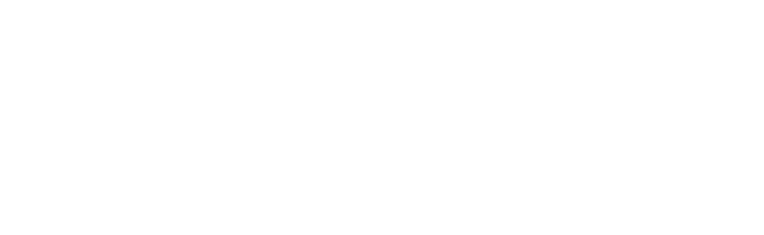 LaroAccess